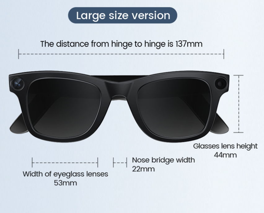 AI Vision Smart Specs